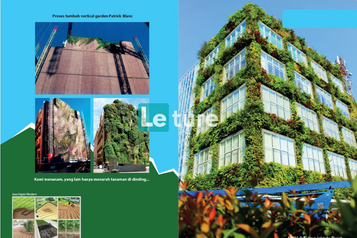 Transform Your Space with Vertical Garden